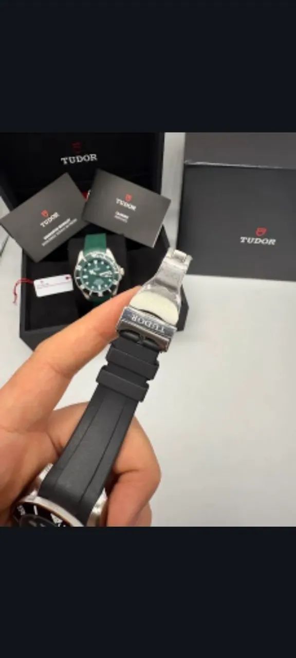 Tudor pelegos  - Foto 5