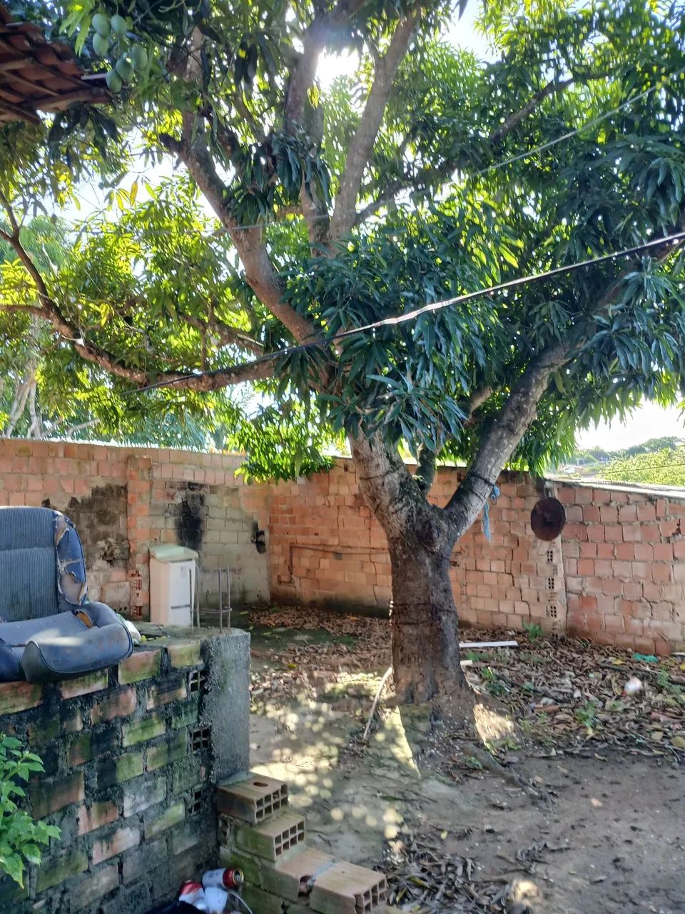 Vender mine sítio na barra de Santo Antônio  - Foto 4
