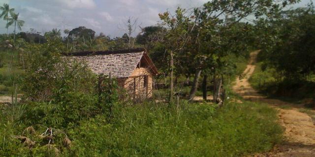 Zé Doca - Maranhão: Vendo Propriedade Rural - Foto 14