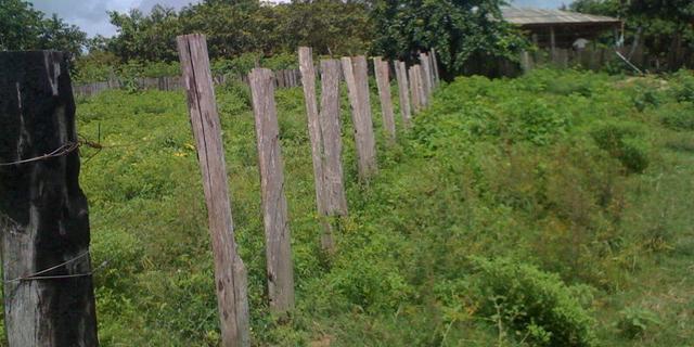 Zé Doca - Maranhão: Vendo Propriedade Rural - Foto 13