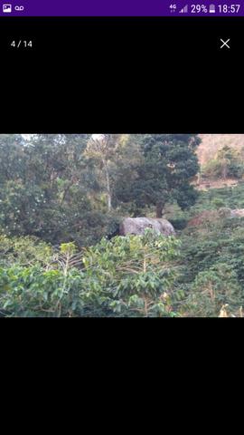 Terreno em Santa Rita de Minas - Foto 10