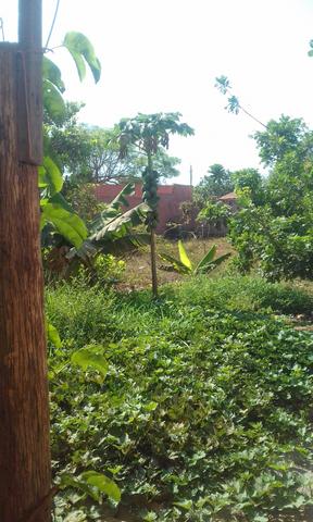 Em barras Piauí - Foto 6