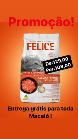 Felice gatos 10kg , Mania Pet Delivery - Foto 4