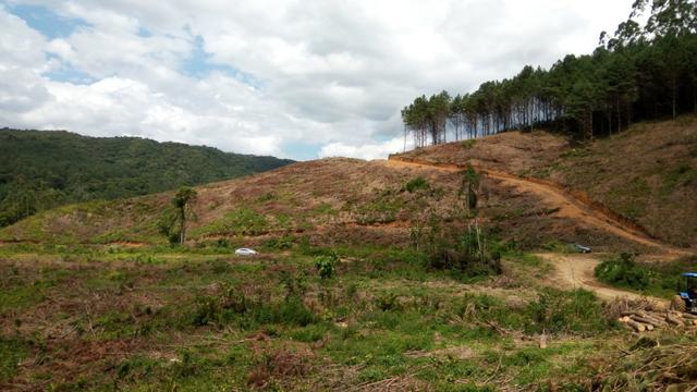 Sítio com área 183.477m², nascente, muita natureza, privacidade. Confira - Foto 3