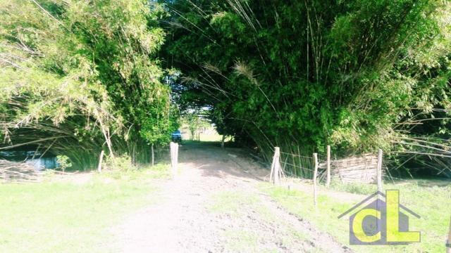 Sítio em Piranema - Foto 5