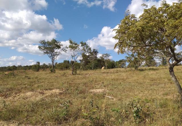 MA Chácara em Itatiaiuçu, Financiada 2.500m², Água e Luz na Porta, Semi Condomínio