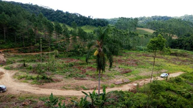 Sítio com área 183.477m², nascente, muita natureza, privacidade. Confira - Foto 12