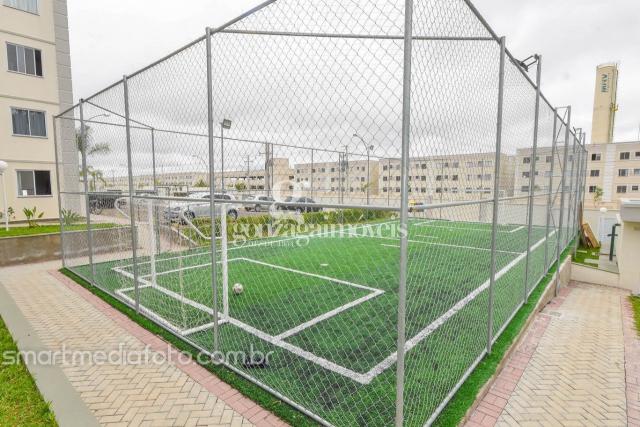 Apartamento para alugar com 2 dormitórios em Pinheirinho, Curitiba cod:63305001 - Foto 14