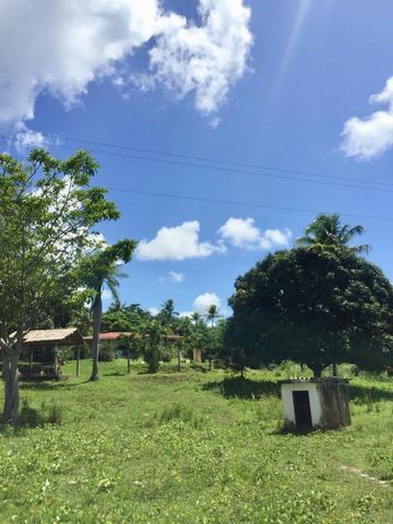 Vendo sitio, 25.000m2, em Igarassu, Cueiras, troca por apartamento ou carro - Foto 6