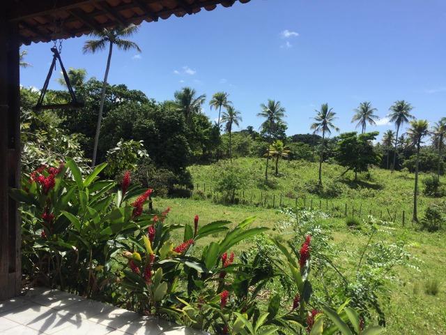 Vendo sitio, 25.000m2, em Igarassu, Cueiras, troca por apartamento ou carro - Foto 8