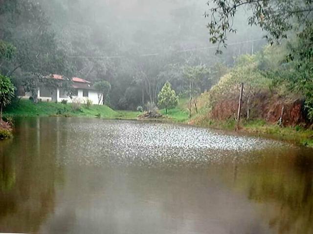 Sítio com lagoa em Santa Tereza - Foto 4