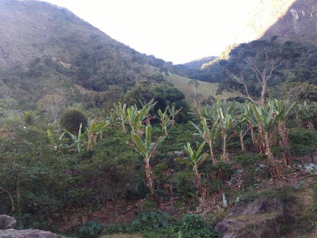 Venda-se está propriedade de 12 alqueires no Município de Muqui/ES - Foto 13