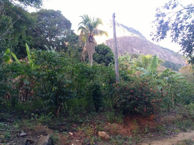 Venda-se está propriedade de 12 alqueires no Município de Muqui/ES - Foto 10