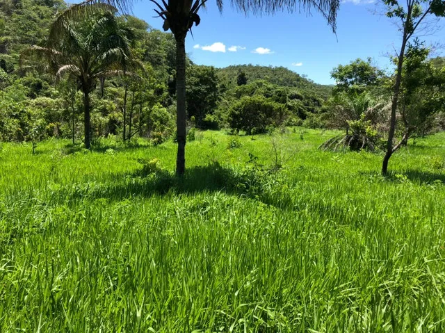 Fazenda em Monte do Carmo - Tocantins. 40mil.