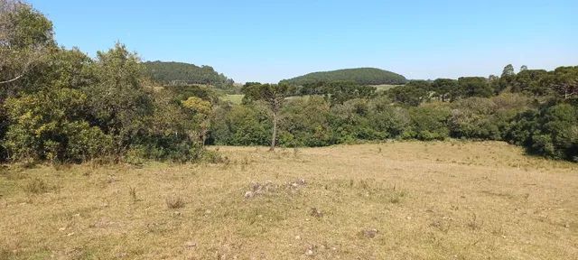 Chácara 2,0 Ha Dalagno - Foto 4