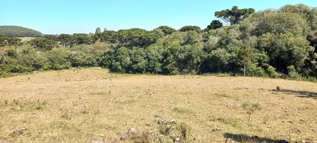 Chácara 2,0 Ha Dalagno - Foto 5