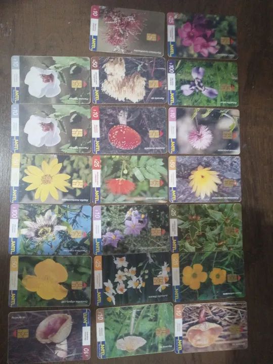 Uruguay ANTEL International Card – Assorted Flowers