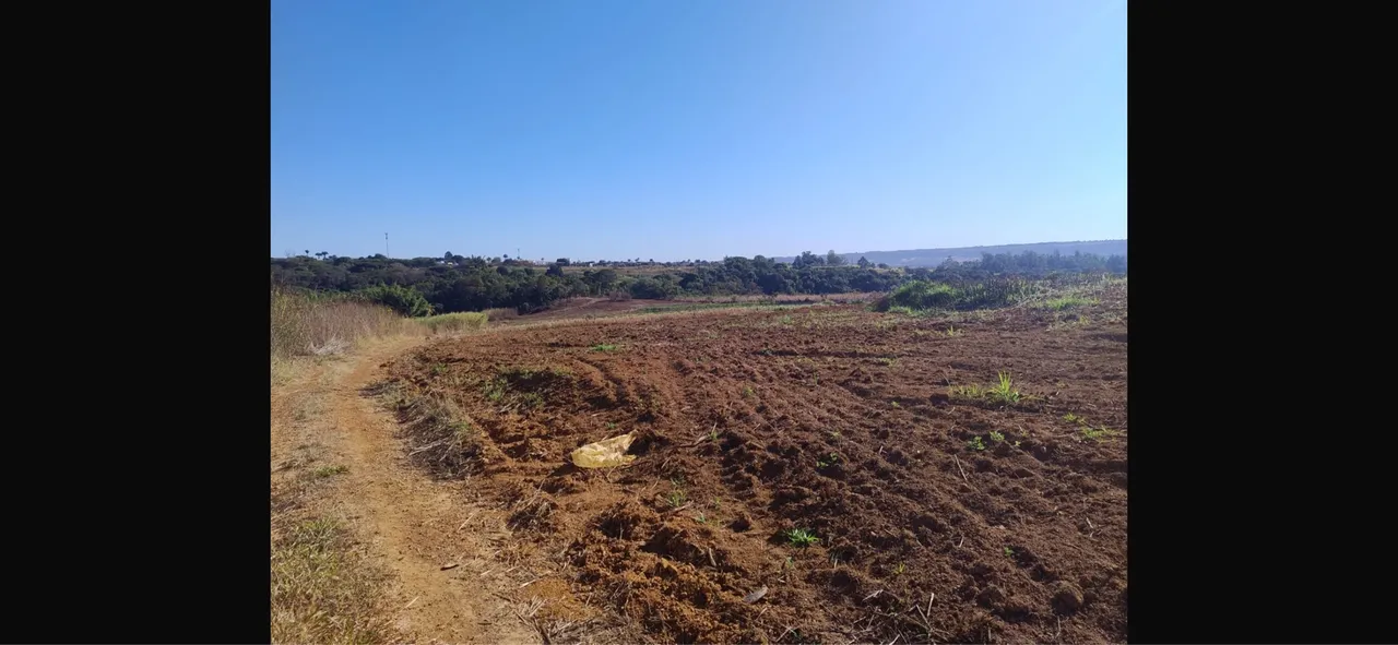 Alugar terra Pará plantio de Ortas terra muito boa