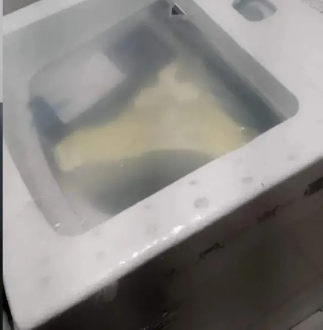 Maq Lavar Eletrolux 14Kg