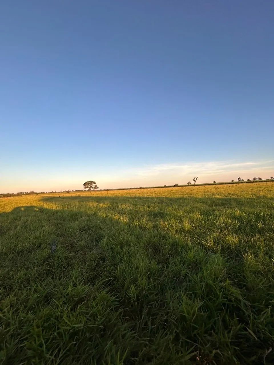 Fazenda de 97 alqu Aparecida do Tabuado