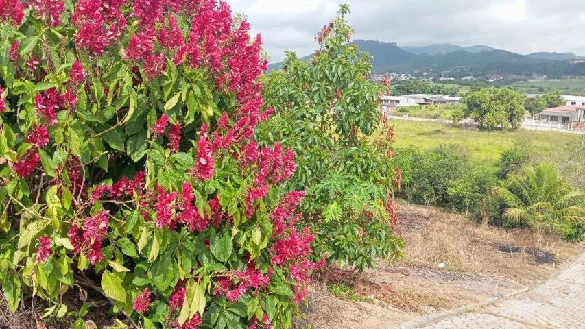 Vendo terrenos em Governador Celso Ramos-SC - 360 m2 de área. - Foto 4