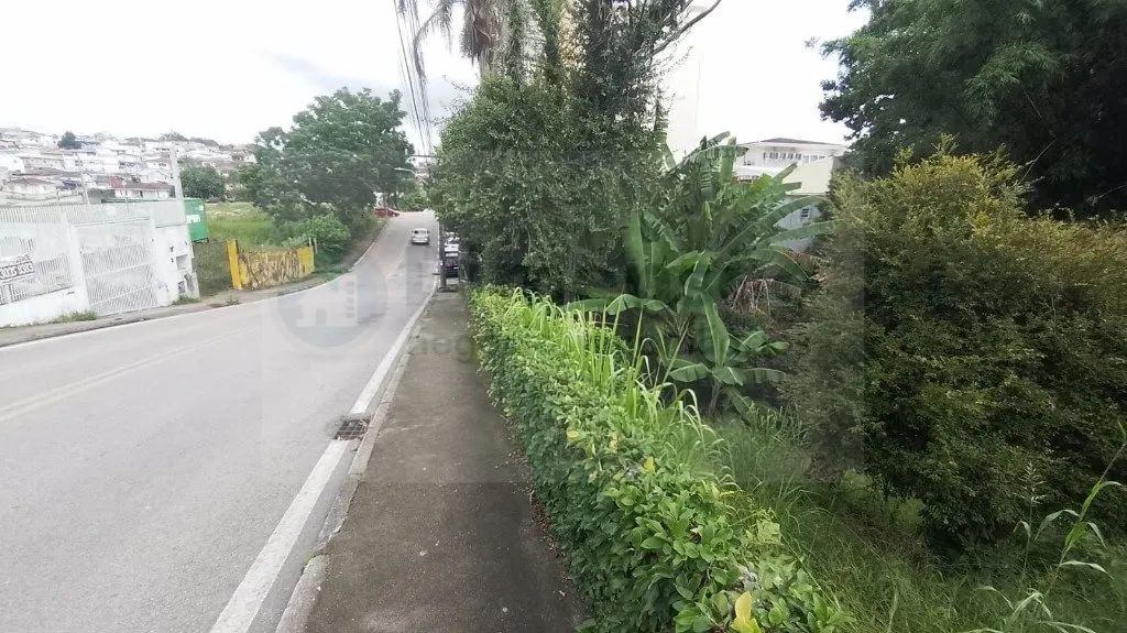 Terreno à venda em Florianópolis - Foto 4