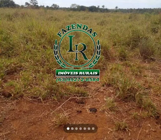 Fazenda 115 Alqueires, Próximo a Palmas