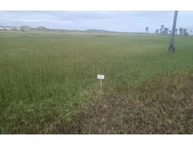 TERRENO RESIDENCIAL em ITAPORANGA D'AJUDA - SE, Loteamento Vila Rica do Abais - Foto 3