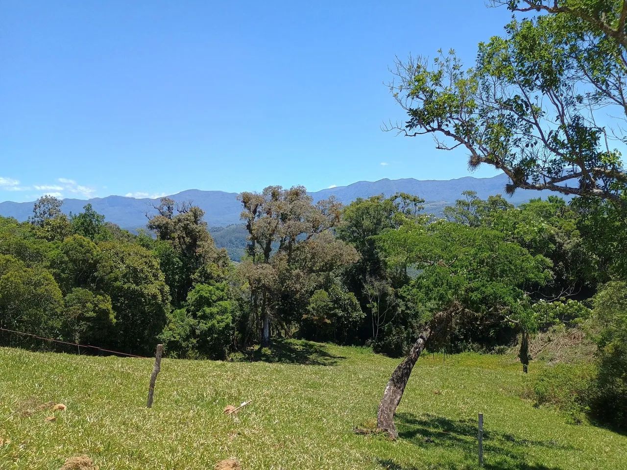 ANITÁPOLIS/SC - Belíssimo terreno para seu sítio! - Foto 2