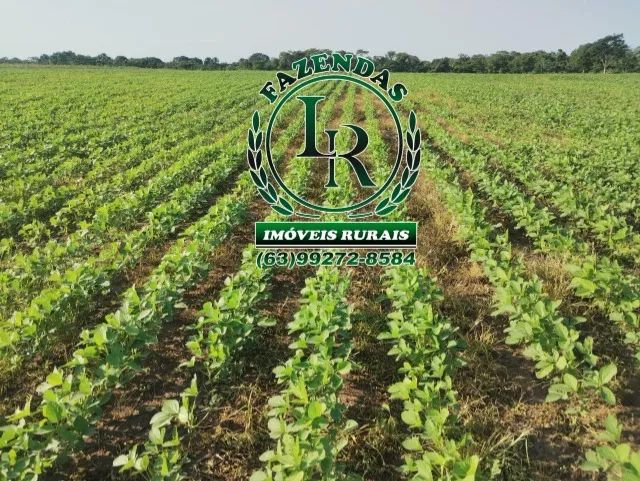 Fazenda de 378 Alqueires, Agricultura/Pecuária - Foto 4