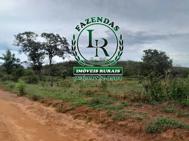 Fazenda 168 Alqueires Dupla Aptidão - Foto 4