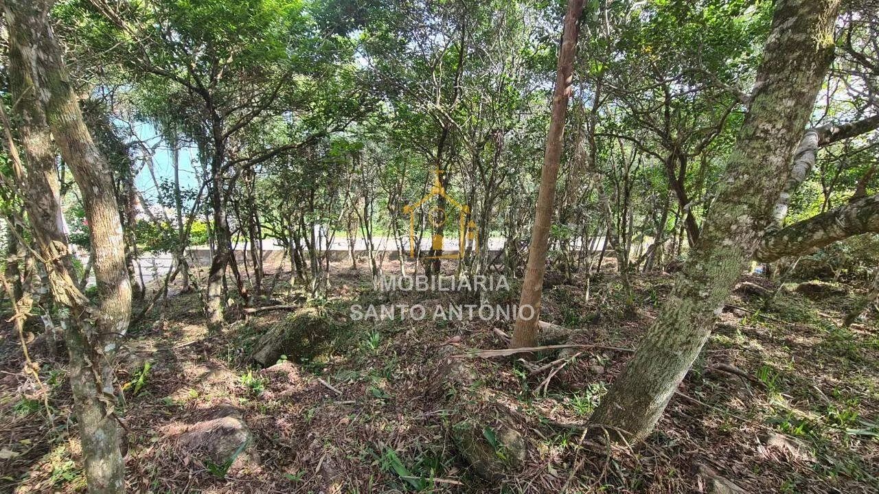Área com Vista Espetacular para a Baia Norte - Foto 14