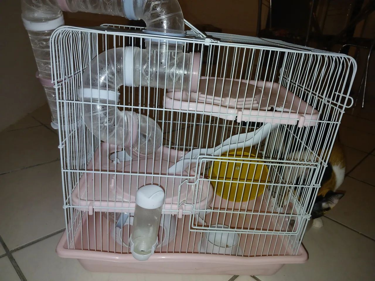 Gaiola para hamister e Roedores  - Foto 2