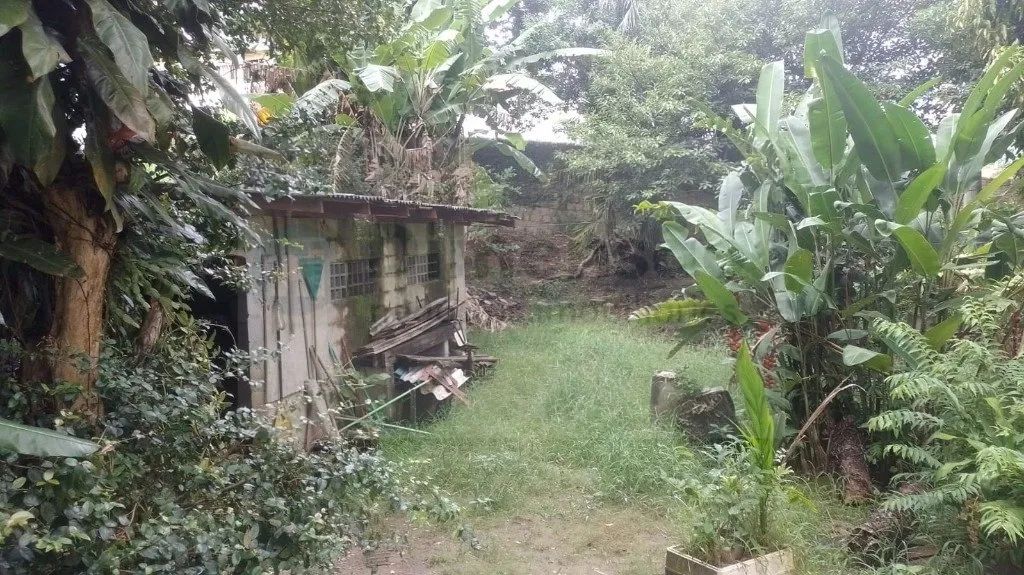 Terreno à venda em Florianópolis - Foto 15
