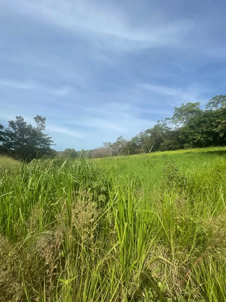 Vende -se