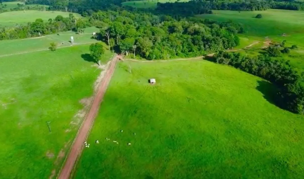 Fazenda em Moju Pará Porteira Fechada 460 hectares 