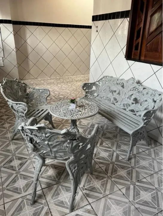 Conjunto samambaia para jardim