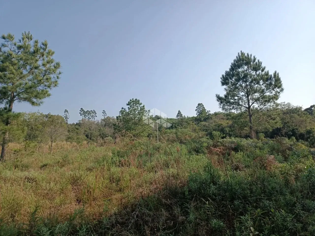 Terreno de 18.075,92 m² à Venda por R$ 120.000,00