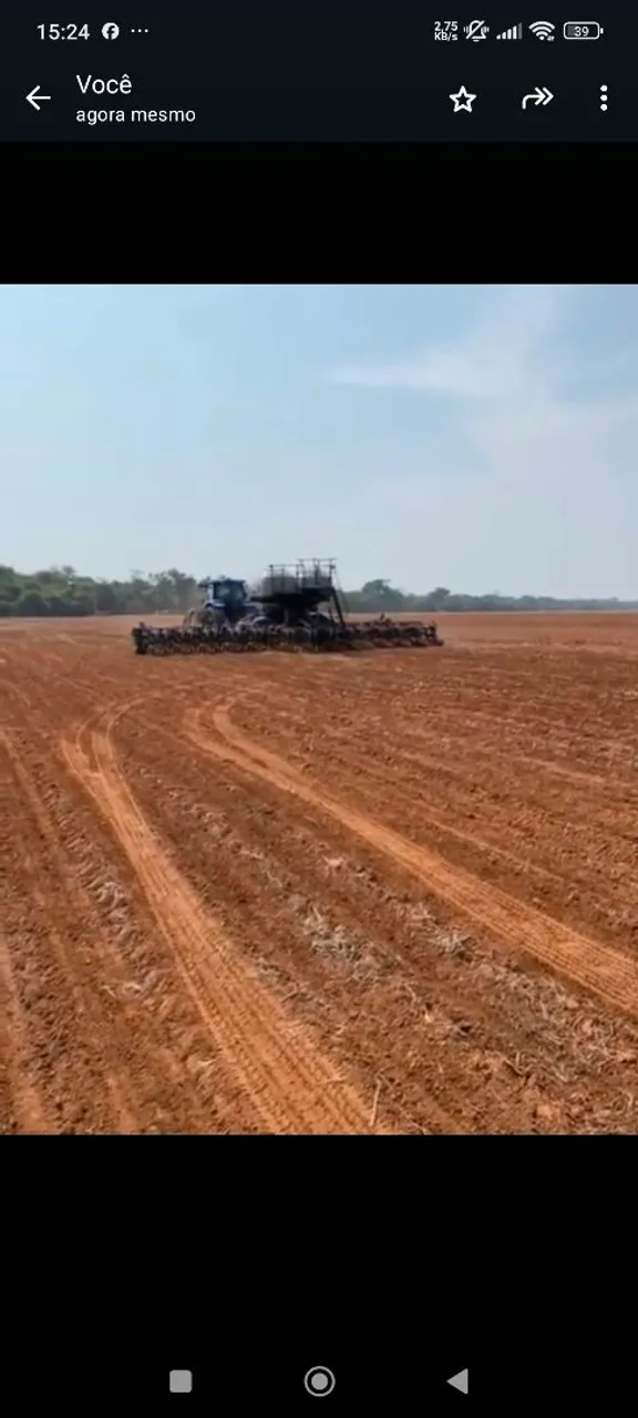 Fazenda 3.980hec e planta 2.036hec em querência MT