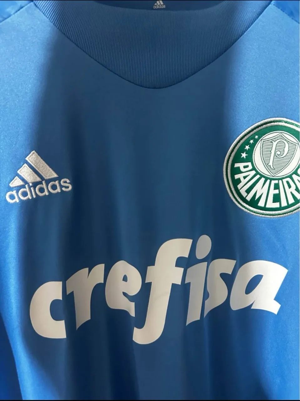 Camiseta Goleiro Palmeiras Azul - G