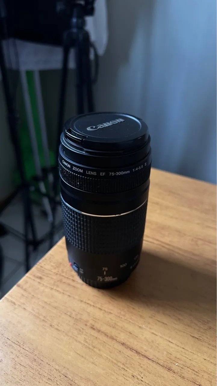 Lente Canon EF 75-300