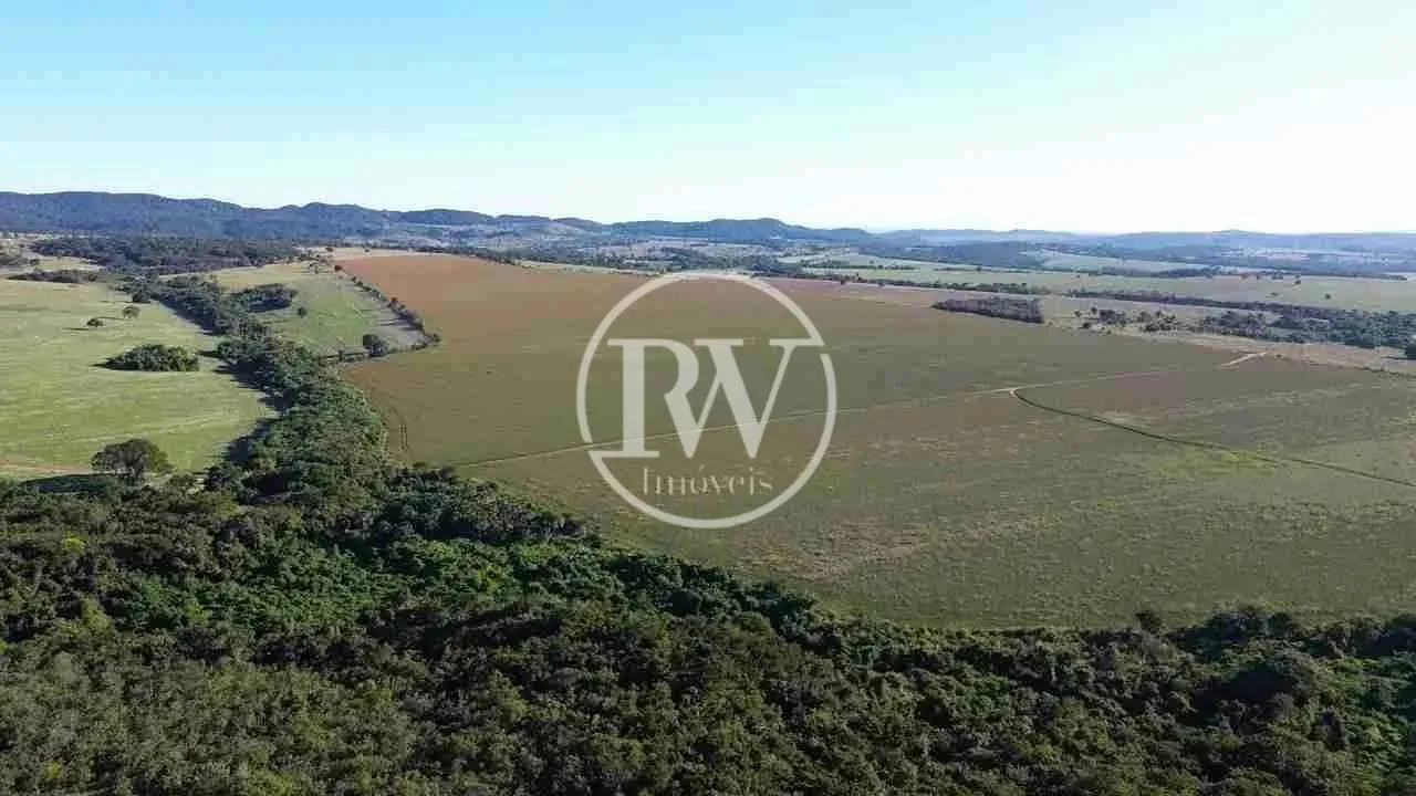 Fazenda à Venda, 50 Alqueires, Piracanjuba, GO