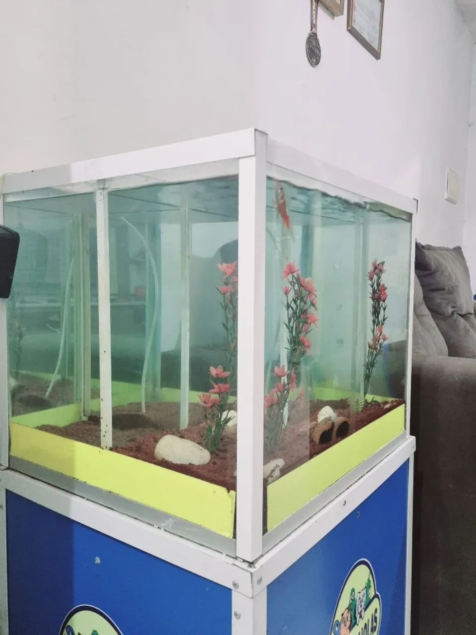 Aquário de Vidro para Peixes - Foto 4