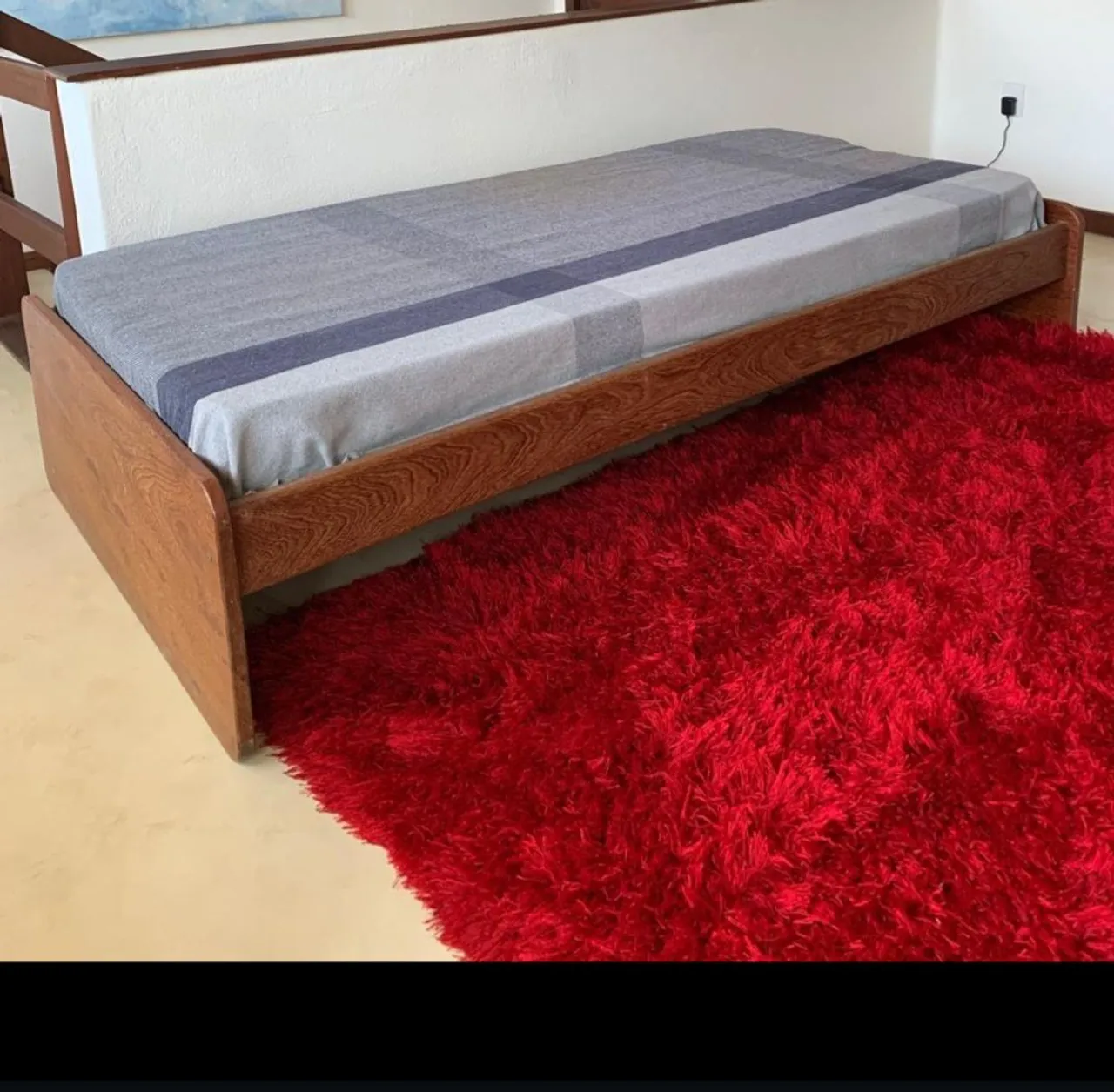 Tapete vermelho nem felpudo pra você brilhar na passarela