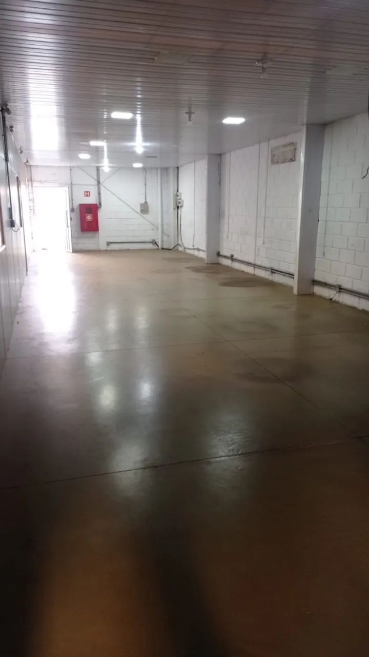 Alugo Barracão 2000m2 em Lácio / Marília Sp - Foto 5