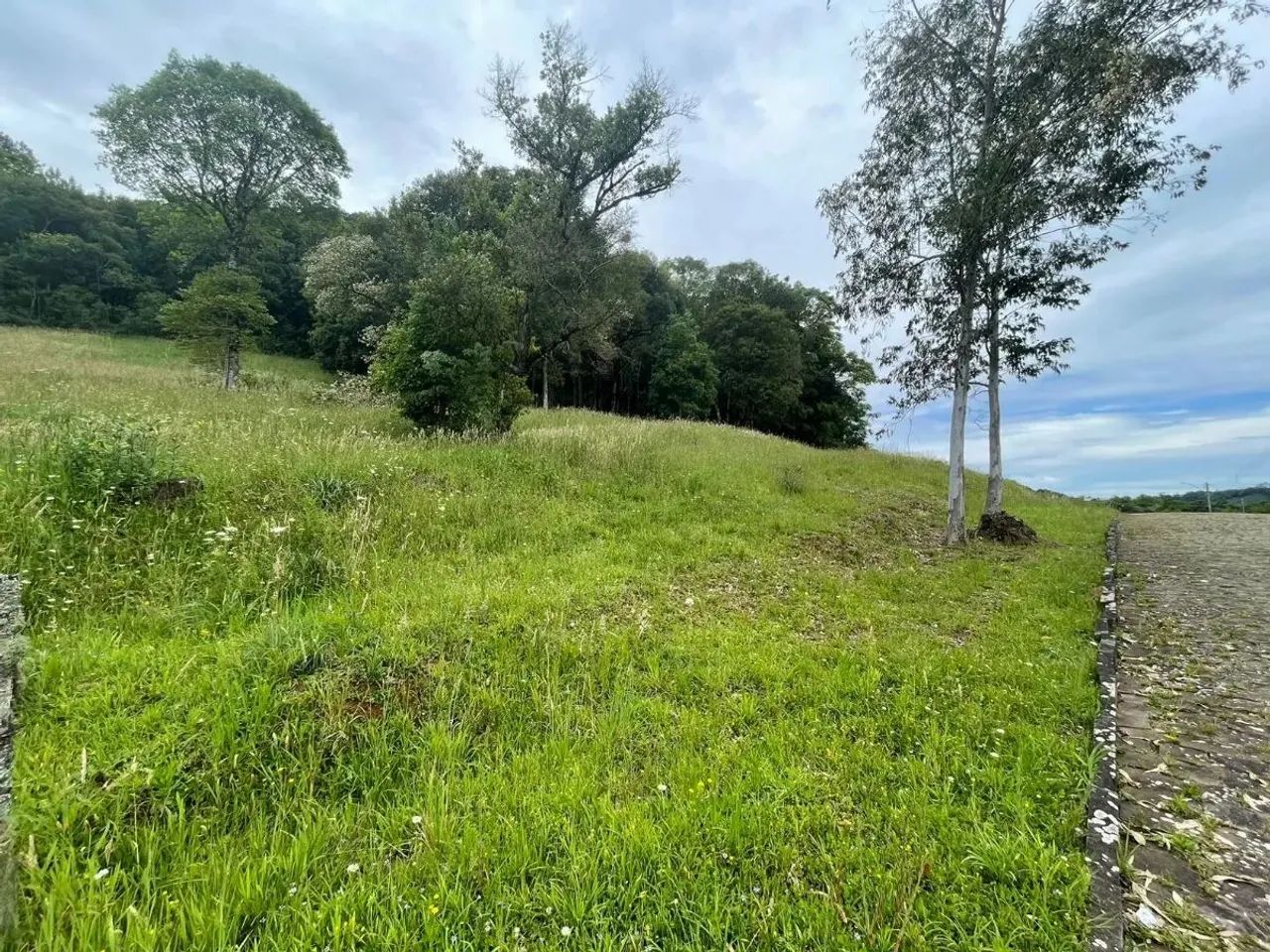 CAXIAS DO SUL - Terreno Padrão - LINHA 40 - Foto 12