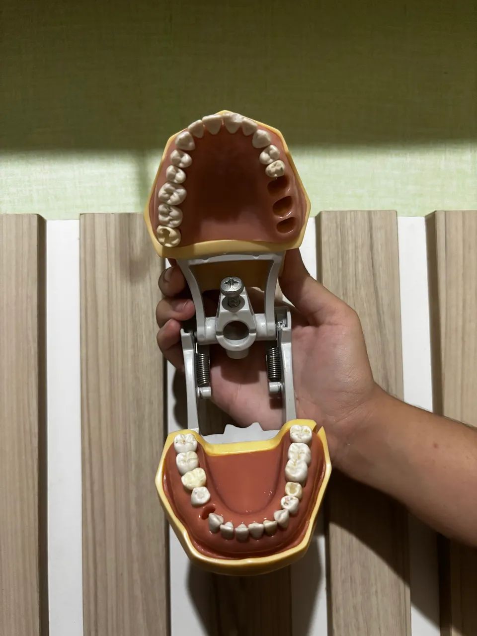 Manequim odontológico dentistica  - Foto 5