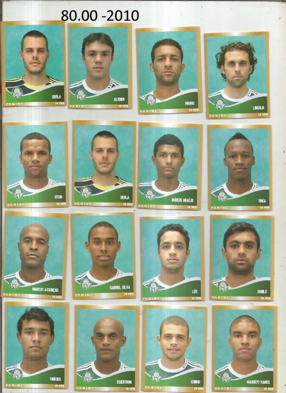 PALMEIRAS CAMPEONATO BRASILEIRO 2010 - 80.00