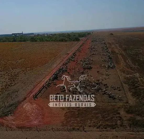 Imóvel para venda com 120000000 metros quadrados - Foto 5