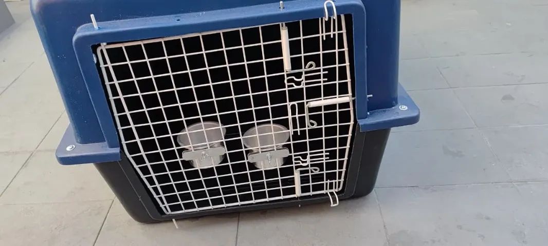 Caixa para transporte aereo Pet - Foto 3